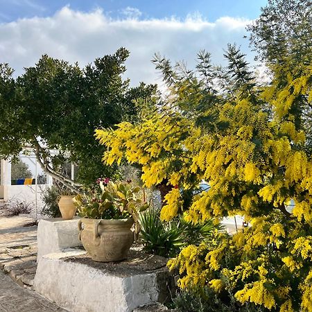 Syconium Trullo And Lamia Gea Charme And History Hotell Ostuni Exteriör bild
