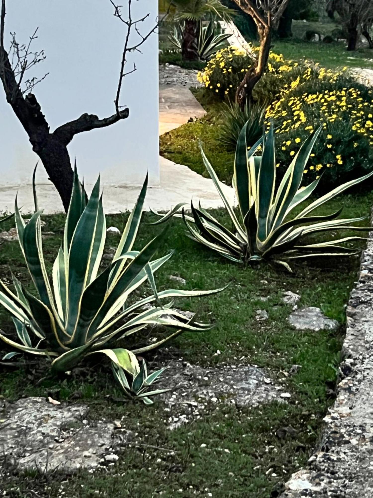 Syconium Trullo And Lamia Gea Charme And History Hotell Ostuni Exteriör bild