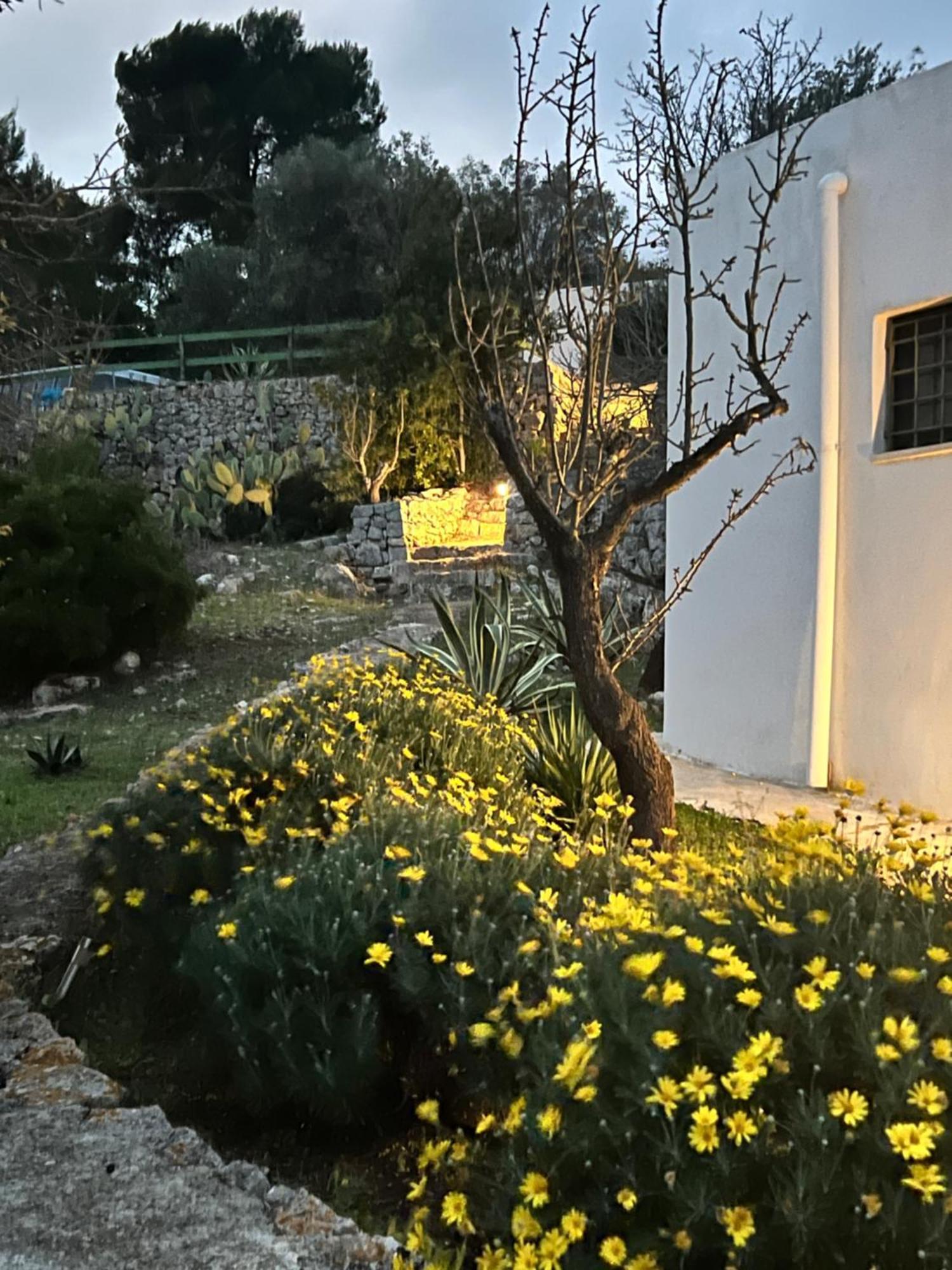 Syconium Trullo And Lamia Gea Charme And History Hotell Ostuni Exteriör bild